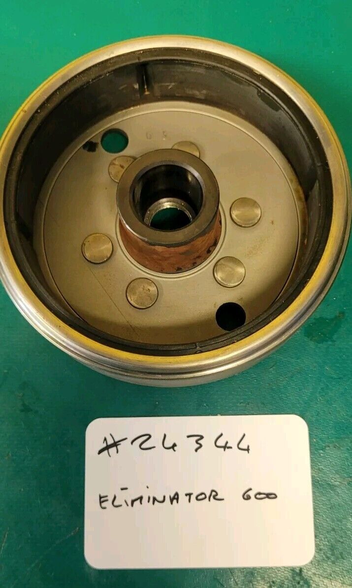 Rotor Volant Magnétique D'allumage Eliminator ZL 600 1996 (24344 )