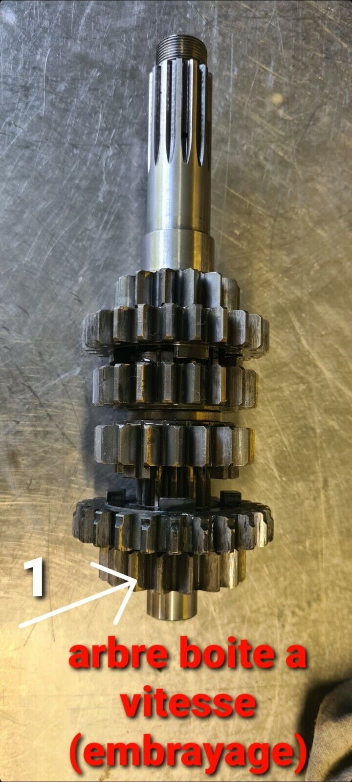 Pignon de boîte à vitesse 400 GASGAS VTREC400FS 2002