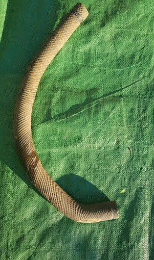 Durite de radiateur sans ressort YAMAHA BANSHEE 350 Phase 2