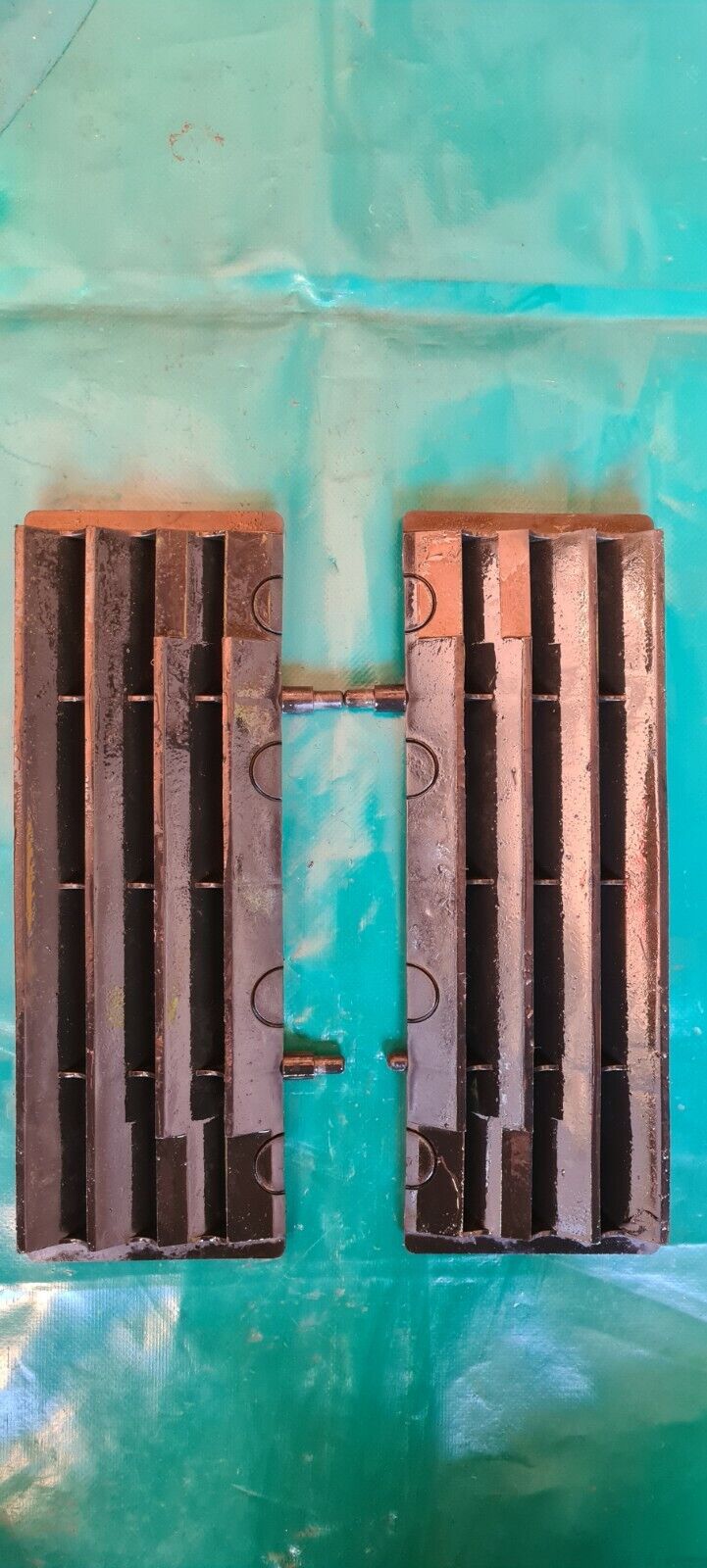 Ecopes grilles de radiateur 250 TM fi mx 2011