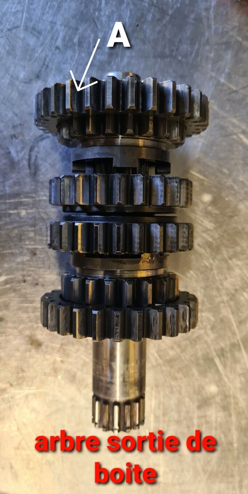 Pignon de boîte à vitesse 400 GASGAS VTREC400FS 2002