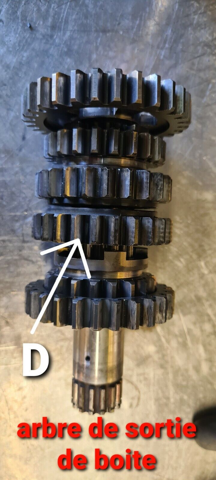 Pignon de boîte à vitesse 400 GASGAS VTREC400FS 2002