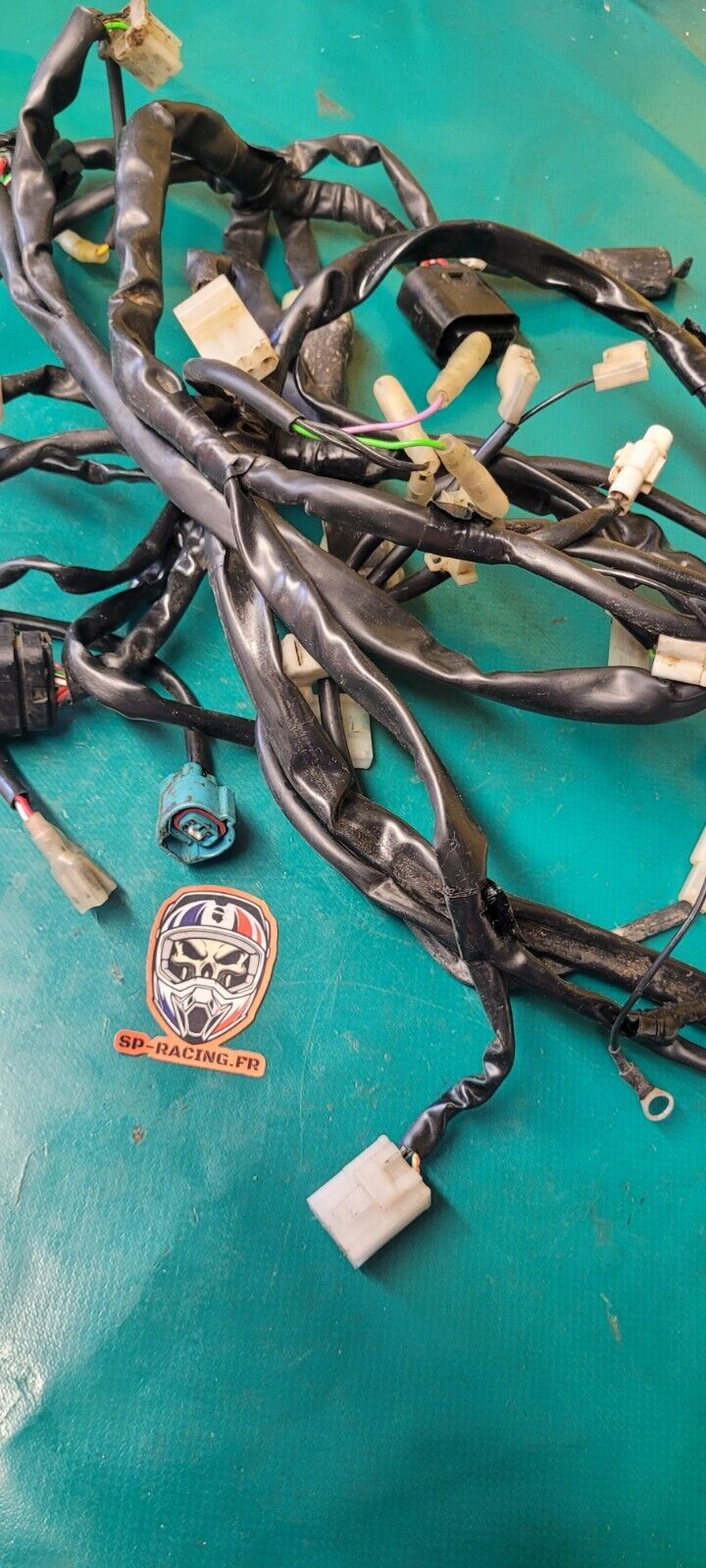 Faisceau Moteur Faisceau Principal Beta 300 X Trainer 2017 (24478 )