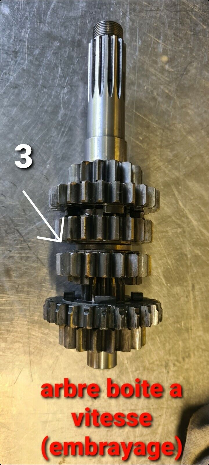Pignon de boîte à vitesse 400 GASGAS VTREC400FS 2002