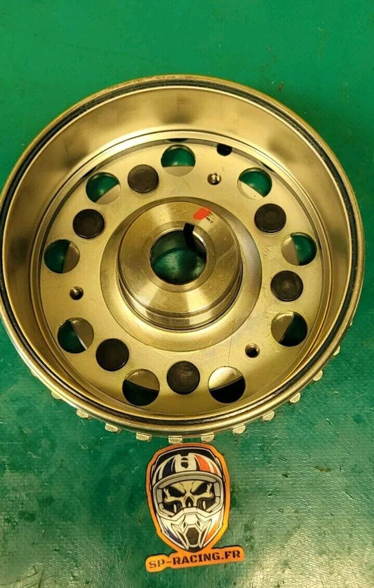 Rotor Volant Magnétique 4013969 RZR 1000 Trail S 2019  (24504 )
