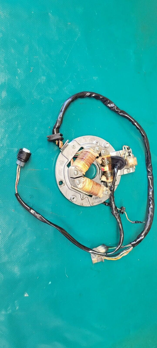 Stator d'allumage SACHS 125 ZZ 2003 supermotard (mécanique dtr)