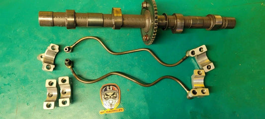 Arbre À Cames D'échappement Eliminator ZL 600 1996 (243439 )