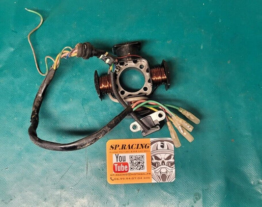 Stator D Allumage AlternateurSMC Barossa Blast 250 (24216)