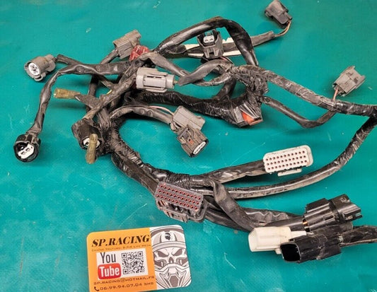 Faisceau Moteur 600 Hornet 2007 Injection (24228) 90000km