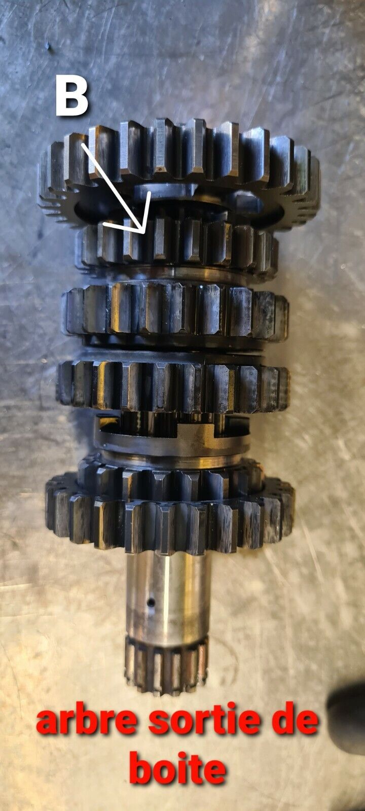 Pignon de boîte à vitesse 400 GASGAS VTREC400FS 2002