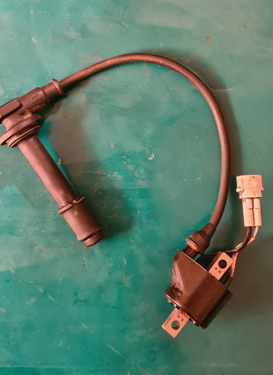 Bobine haute tension 250 TM fi mx 2011