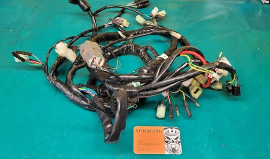 Faisceau Moteur KYMCO 250 MXU 2005 (23721)