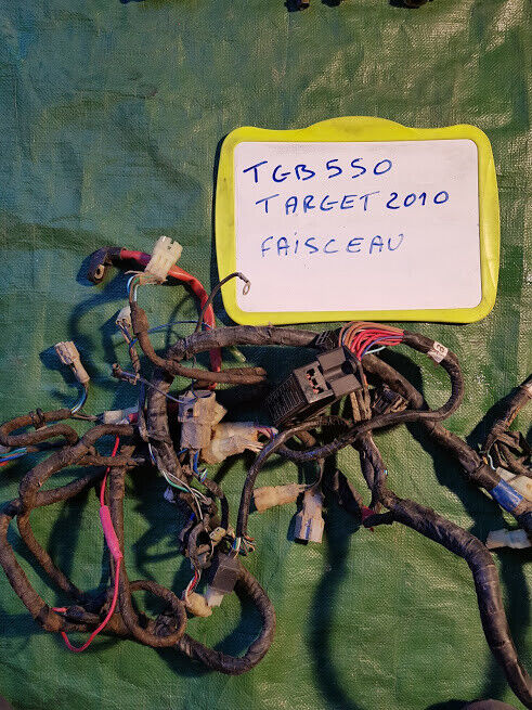 Faisceau moteur complet avec fusibles et portes fusibles TGB 550 TARGET de 2010
