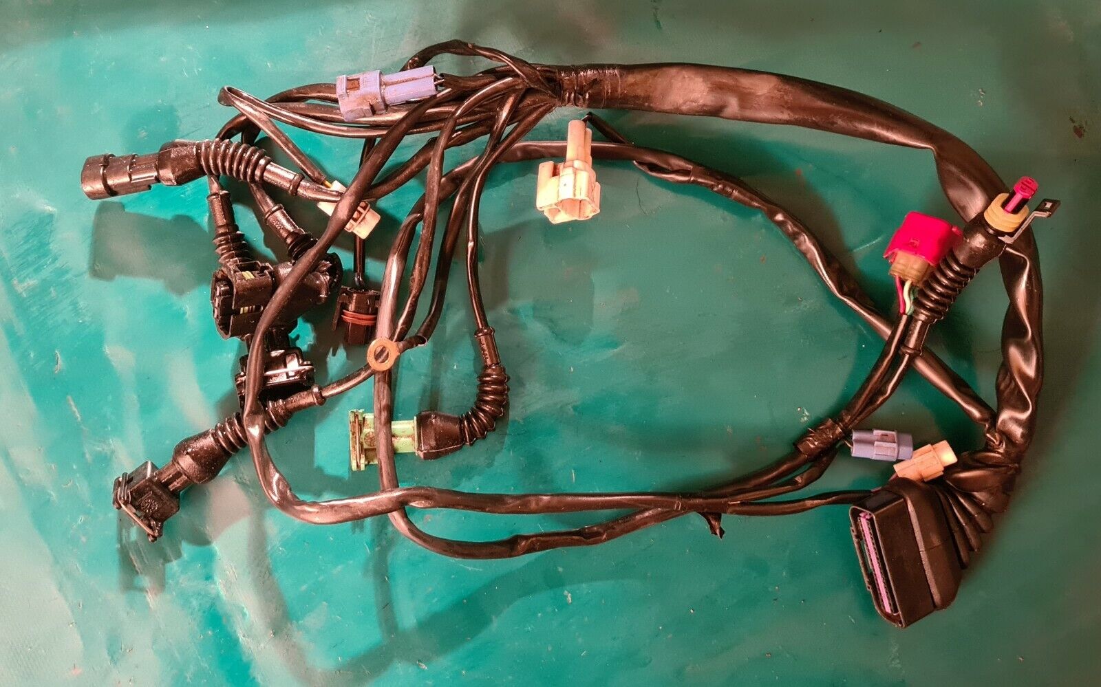 Faisceau moteur injection 250 TM fi mx 2011