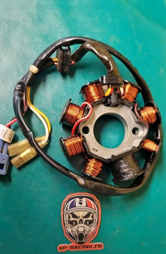 Stator Alternateur D'allumage Beta 300 X Trainer 2017 (24462 )